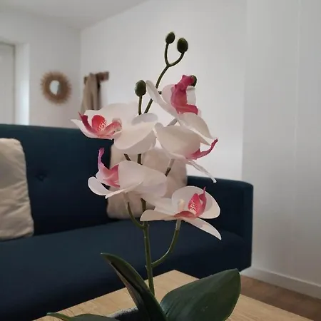 Le Logis Du Bourgneuf Charmante Petite Maison Дом отдыха *