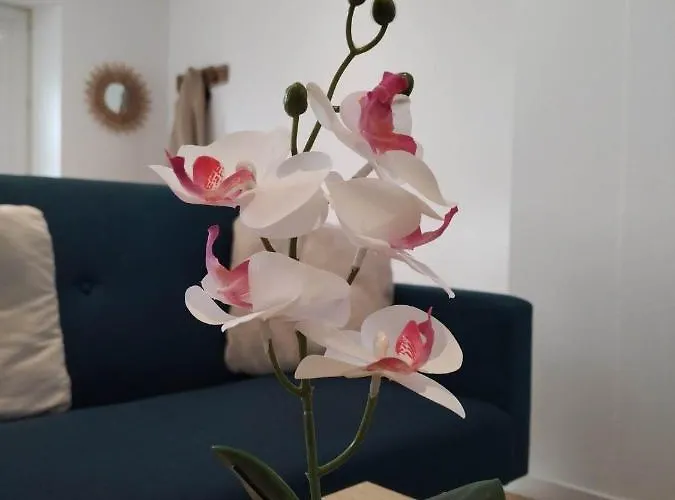 Le Logis Du Bourgneuf Charmante Petite Maison Casa de Férias *